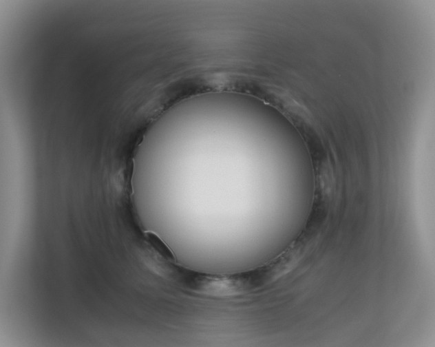 X0000110710611200906191549