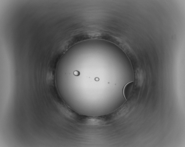 X0000110710614200906191549
