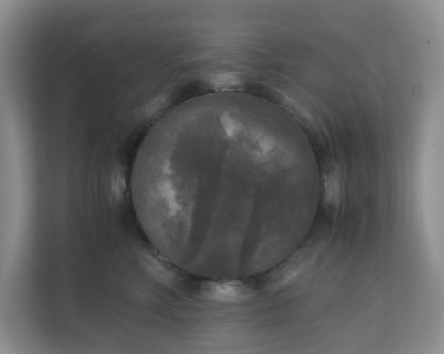 X0000110710618200906191549