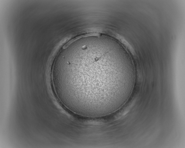 X0000110710625200906191548