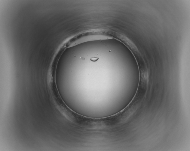 X0000110710628200906191548