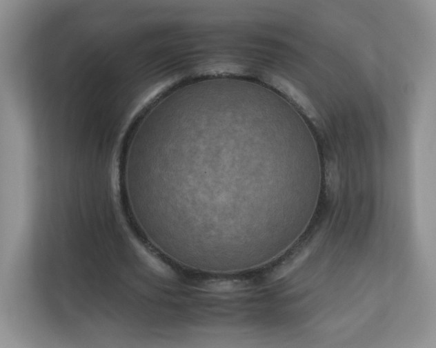 X0000110710629200906191548