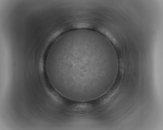 X0000110710631200906191548