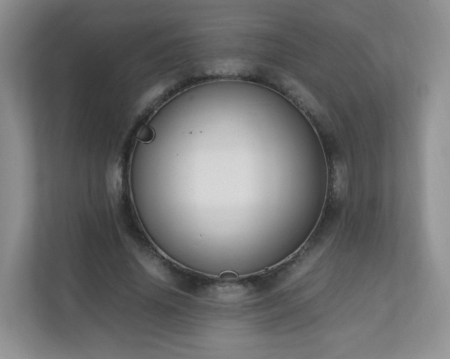 X0000110710636200906191548