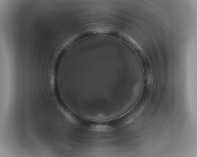 X0000110710637200906191548