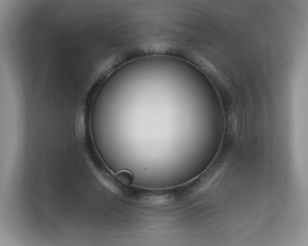 X0000110710638200906191548