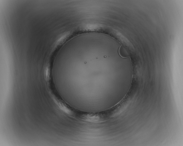 X0000110710640200906191548