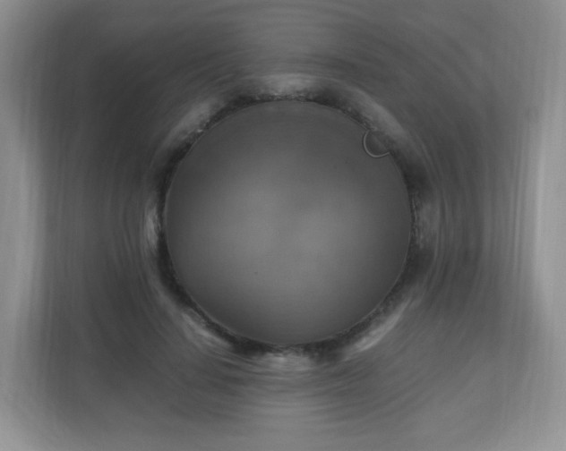 X0000110710644200906191548