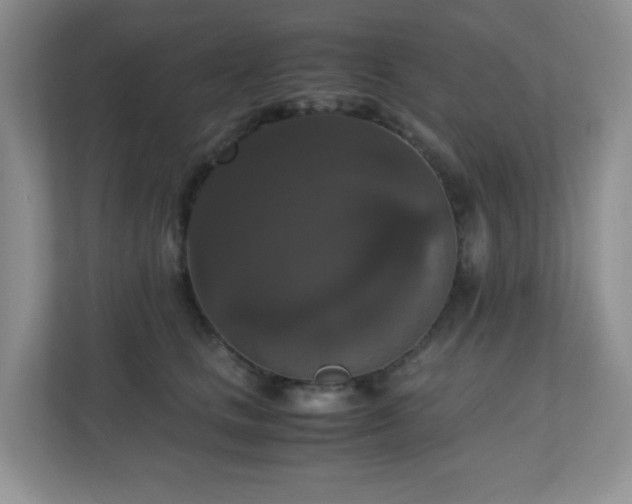 X0000110710661200906191548