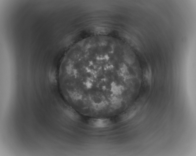 X0000110710663200906191548