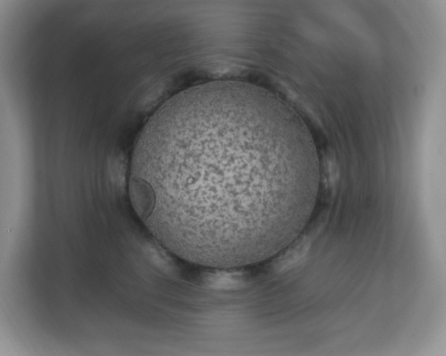 X0000110710664200906191548