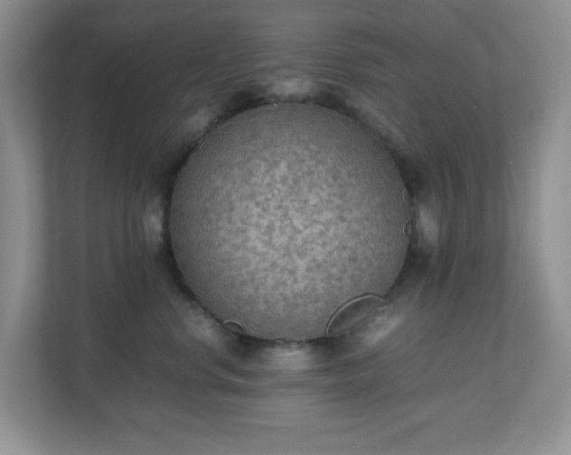 X0000110710668200906191548