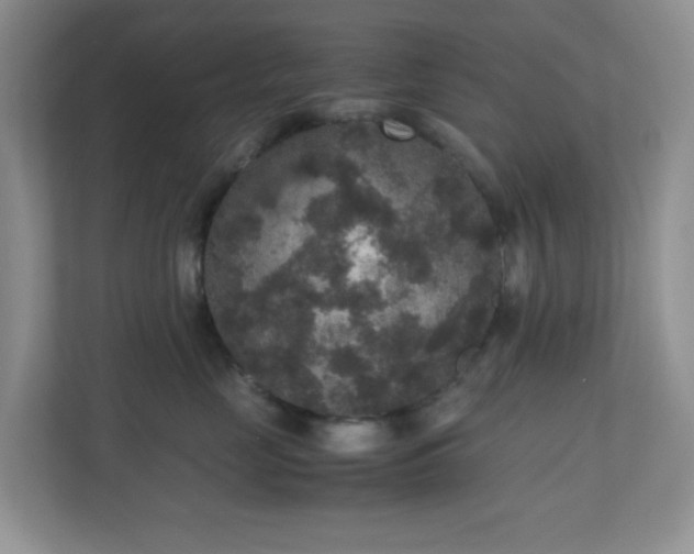 X0000110710669200906191549