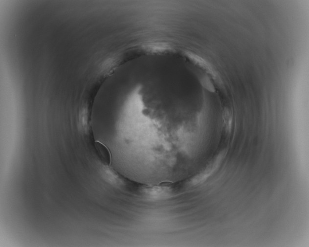 X0000110710670200906191549