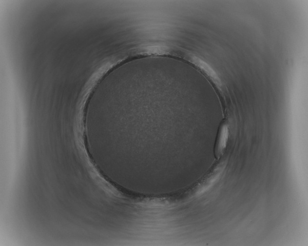 X0000110710673200906191548