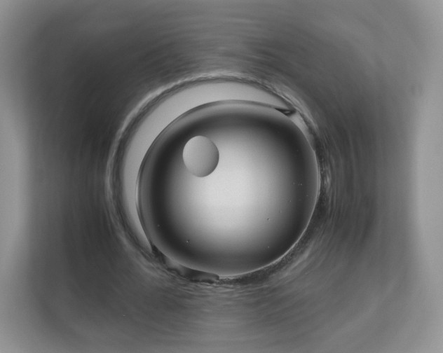 X0000110710676200906191548