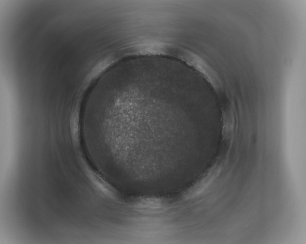X0000110710677200906191548