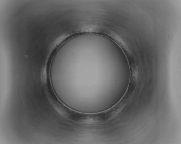 X0000110710678200906191548