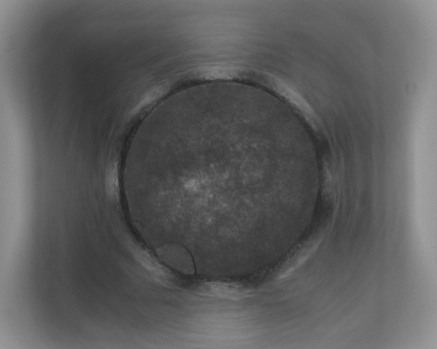 X0000110710681200906191548