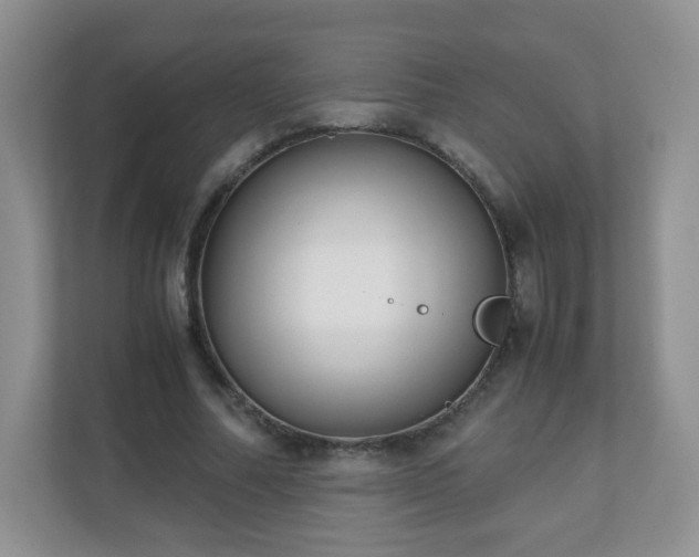 X0000110710682200906191548