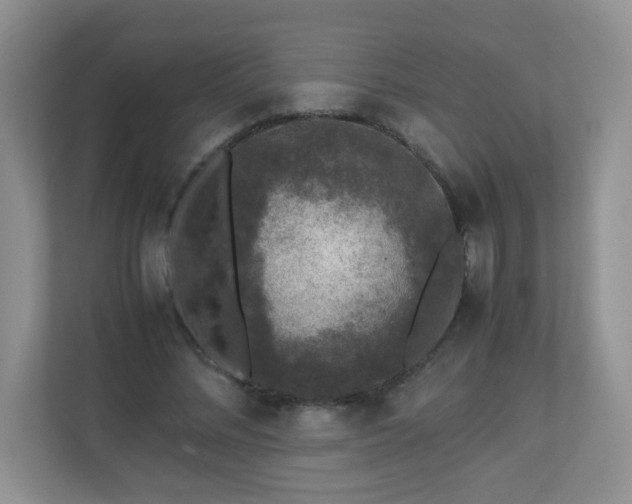 X0000110710684200906191548