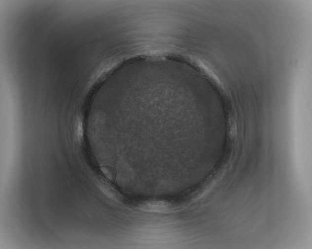 X0000110710685200906191548