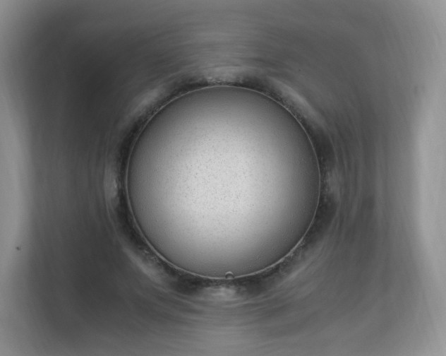 X0000110710687200906191548