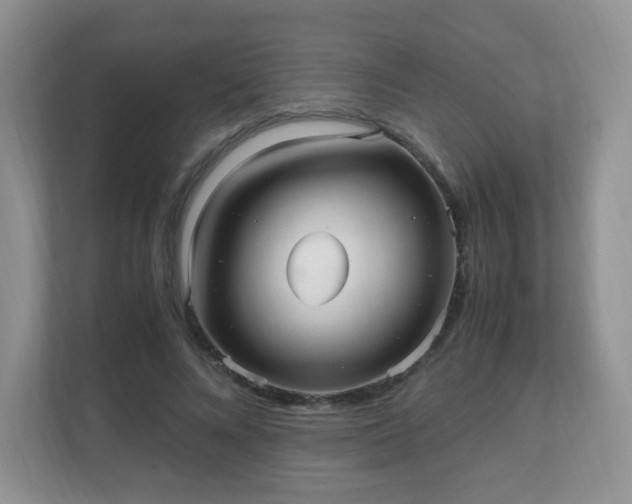 X0000110710688200906191548