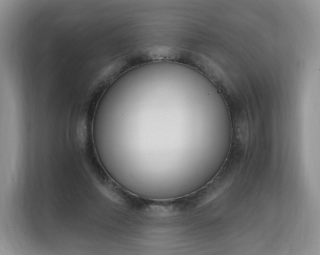 X0000110710690200906191548