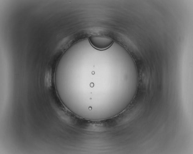 X0000110710694200906191548