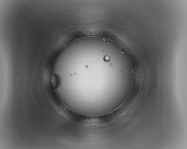 X0000110710695200906191548
