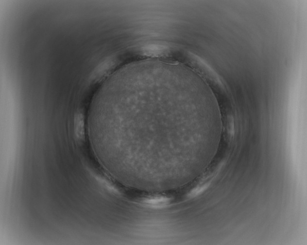 X0000110710696200906191548