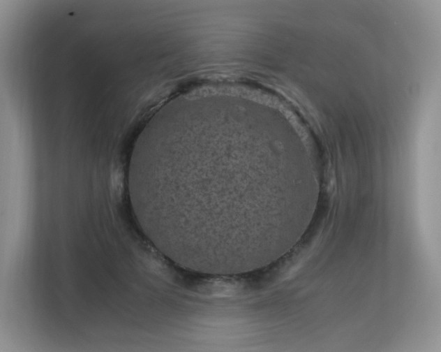X0000110710697200906191548