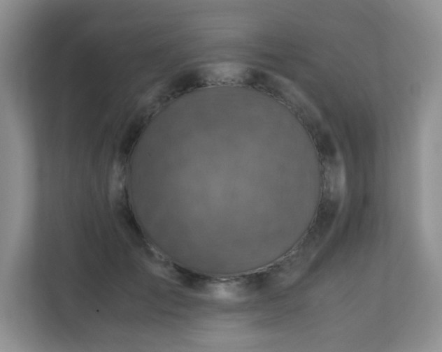 X0000110710701200906191548