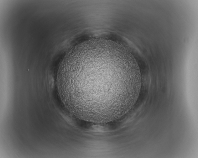 X0000110710703200906191548