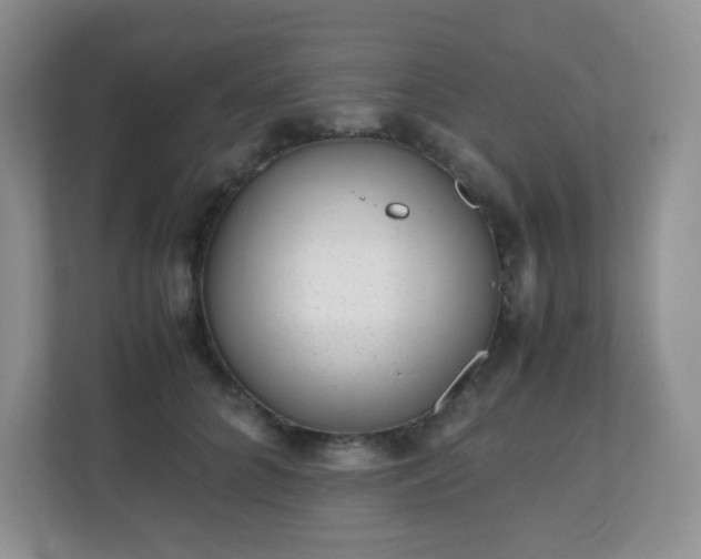 X0000110710704200906191548