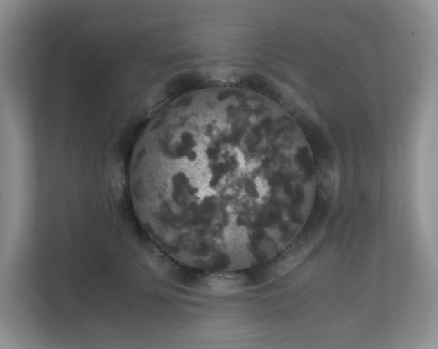 X0000110710707200906191547