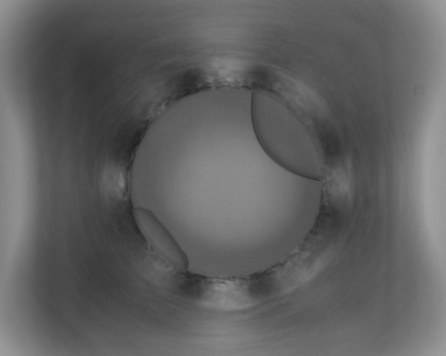 X0000110710709200906191547