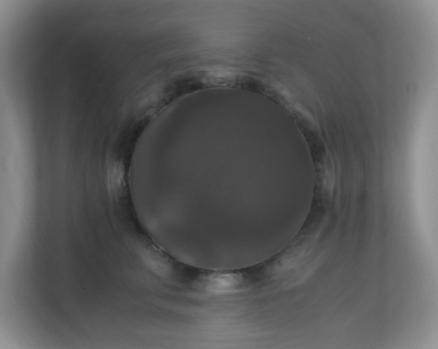 X0000110710711200906191547