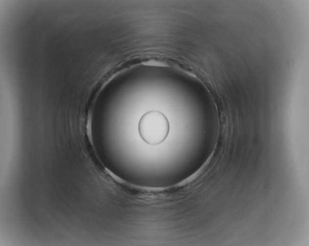 X0000110710712200906191547