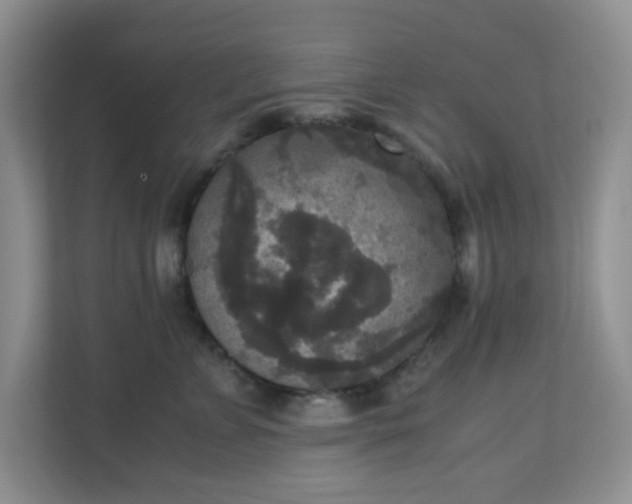X0000110710715200906191547