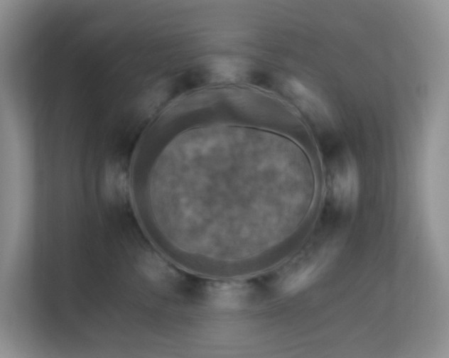 X0000110710716200906191547