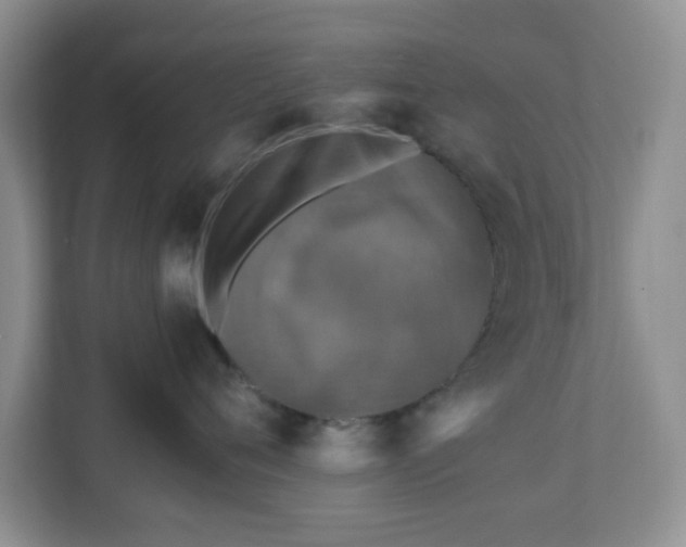 X0000110710720200906191547