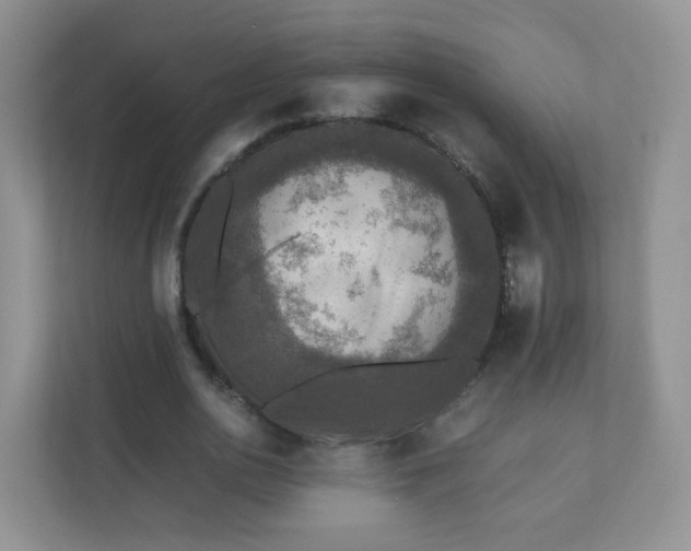 X0000110710726200906191547