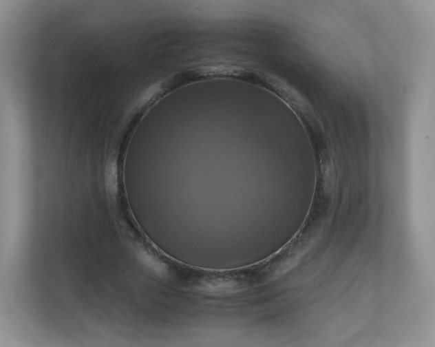 X0000110710729200906191547