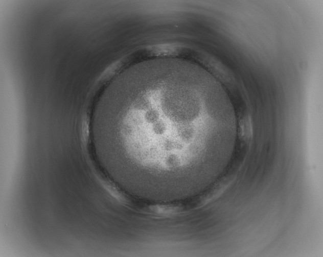 X0000110710733200906191547