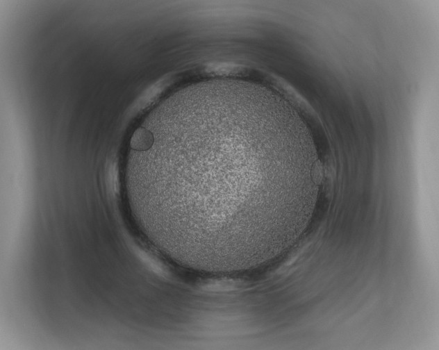 X0000110710734200906191547