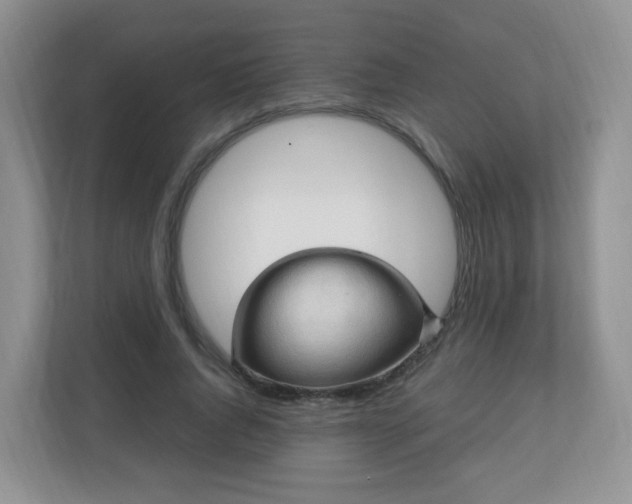 X0000110710736200906191547