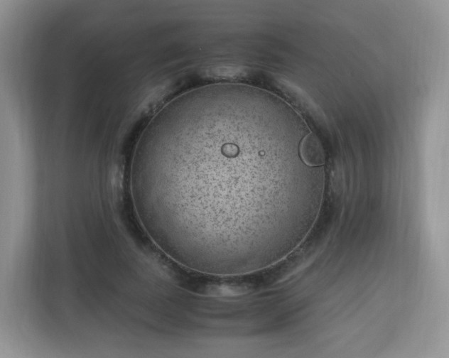 X0000110710739200906191547