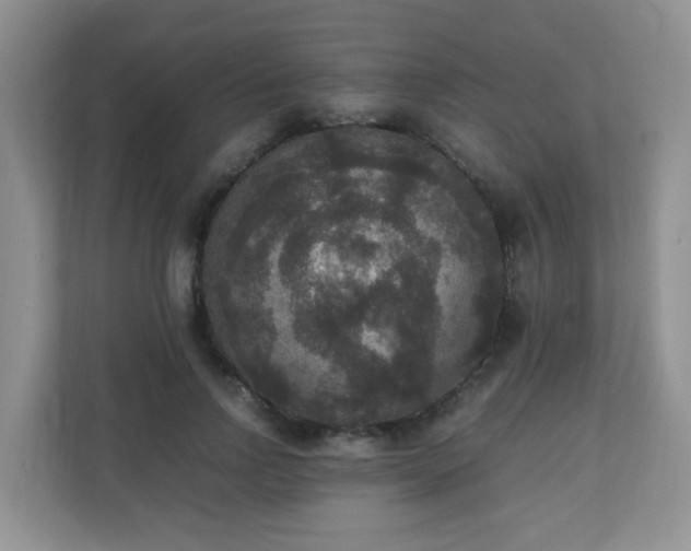 X0000110710742200906191547